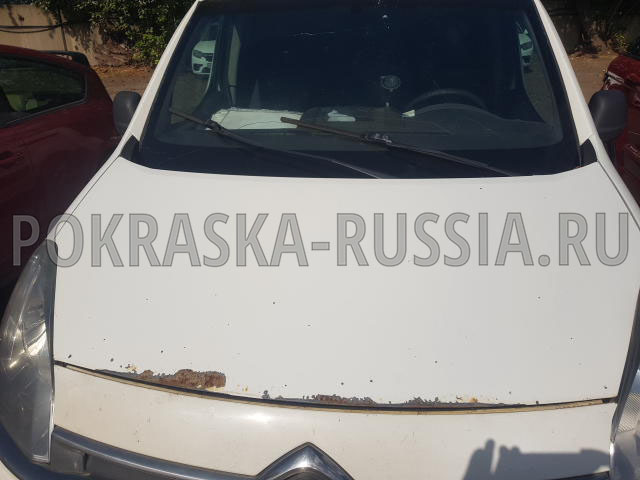 Покраска автомобиля Citroen Berlingo