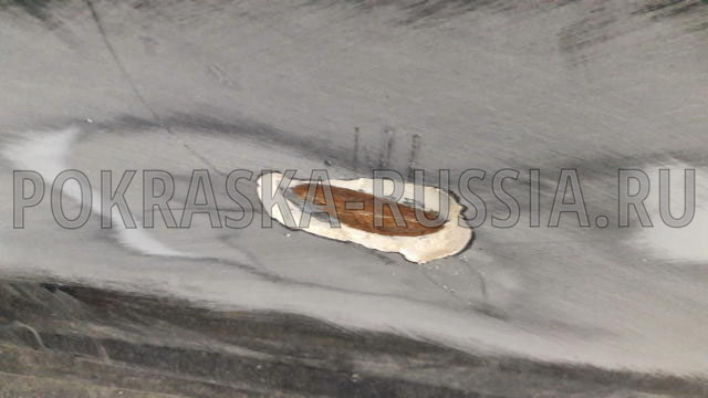 Покраска автомобиля Ford Focus