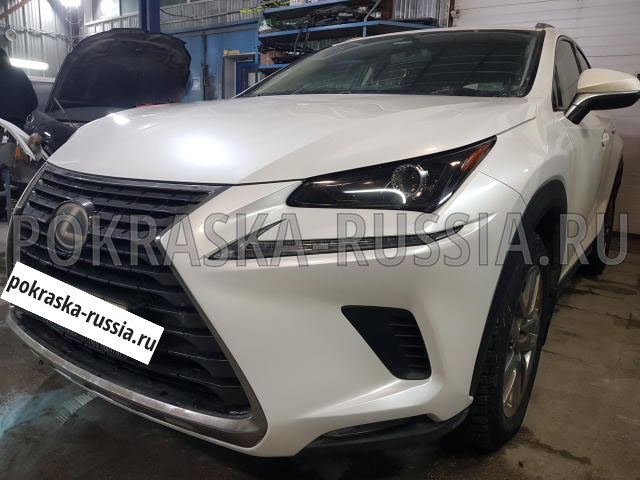 Покраска автомобиля Lexus NX200