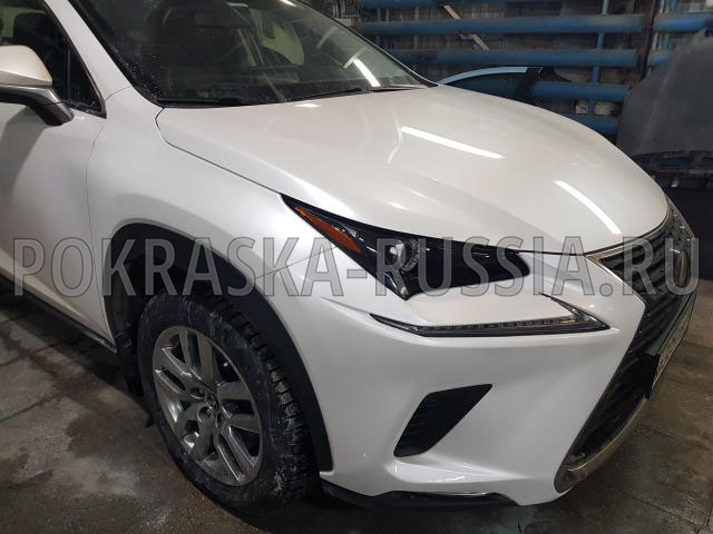 Покраска автомобиля Lexus NX200