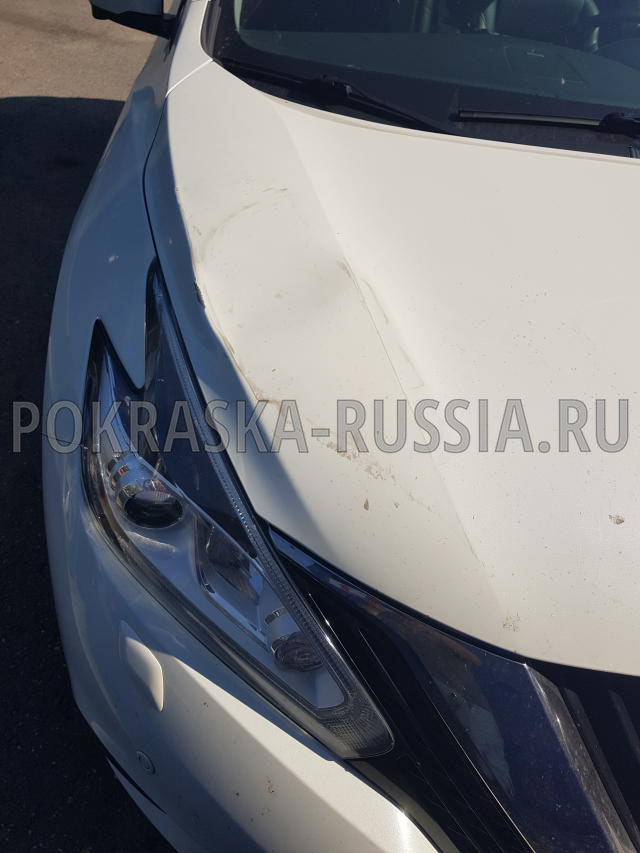 Покраска автомобиля Nissan Murano