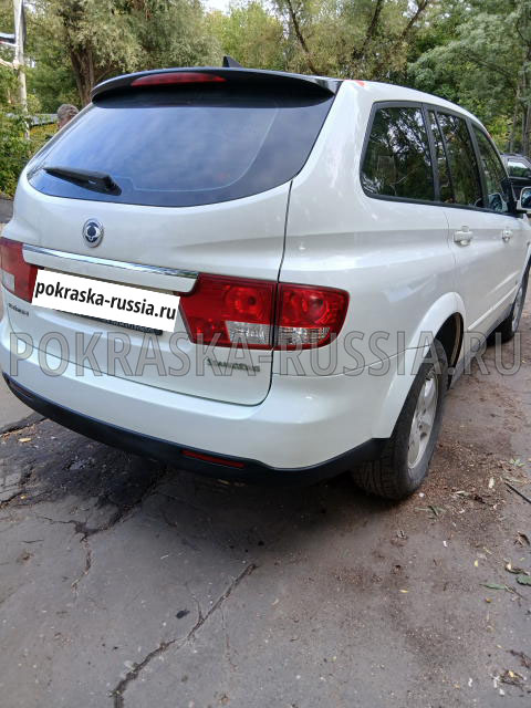Покраска автомобиля SsangYong Kyron